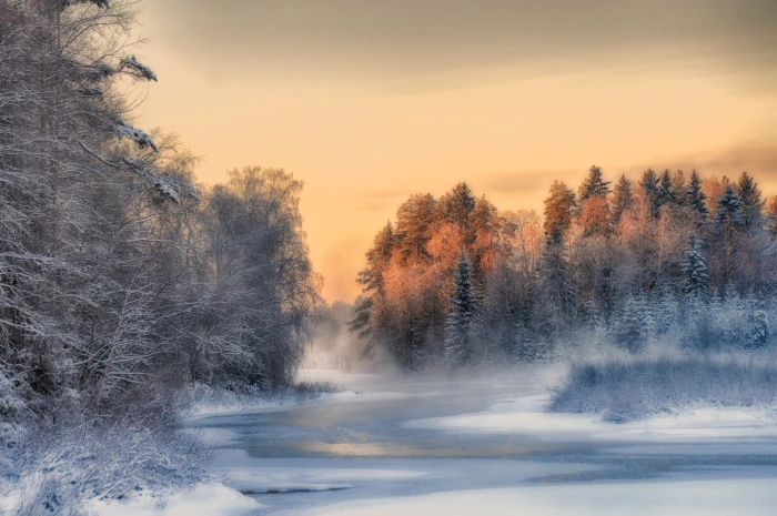 winter Finland trees landscape nature snow ice sunset 2k 4k