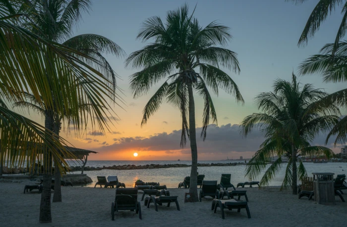 beach during golden hour sunset caribbean palm trees sea 2k 4k 5k