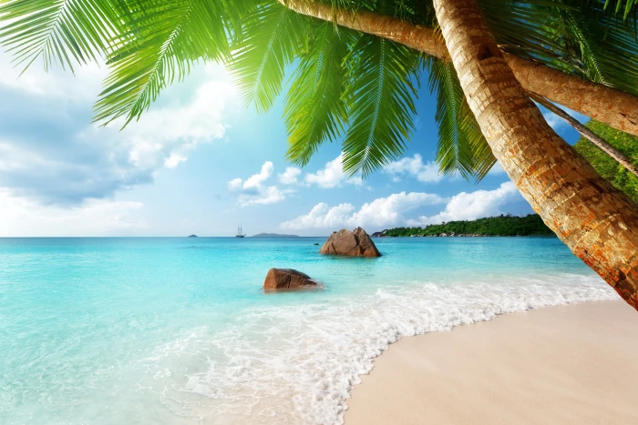 beach blue coast emerald ocean palm paradise sea tropical 2k 4k 5k