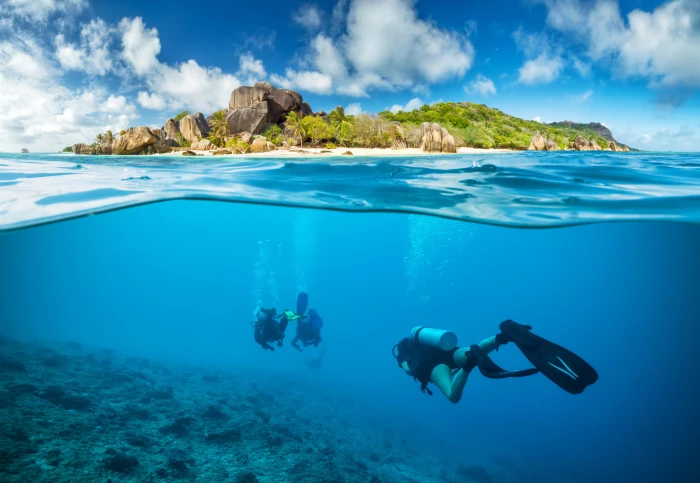 black flippers landscape scuba underwater coral wetsuit 2k 4k 5k 8k
