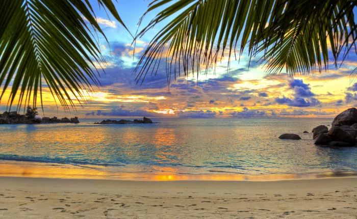 body of water beach tropics sea sand palm trees sunset 2k 4k 5k