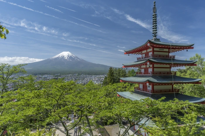 high view of temple surrounded green trees fuji mount pagoda 2k 4k 5k