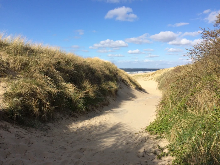 holland zeeland beach north sea coast netherlands sand Dune 2k