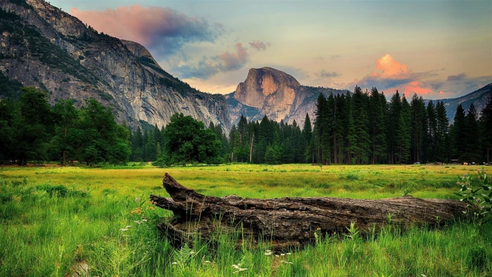 landscape mac wallpaper mountain tree plant scenics nature 2k 4k