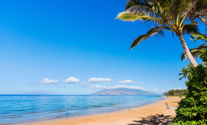 Maui coast beach ocean sky Hawaii palm 2k 4k 5k