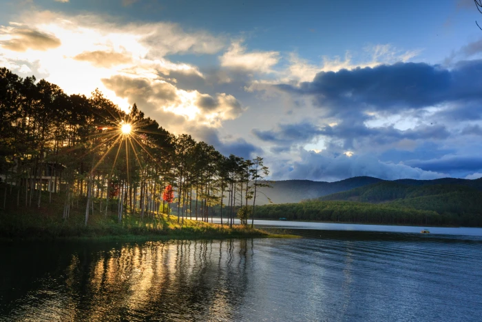 outdoor forest theung dalat vietnam travel see sunset 2k 4k 5k