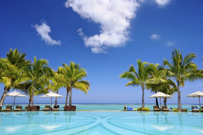 palm trees sand sea beach shore summer paradise palms 2k 4k 5k