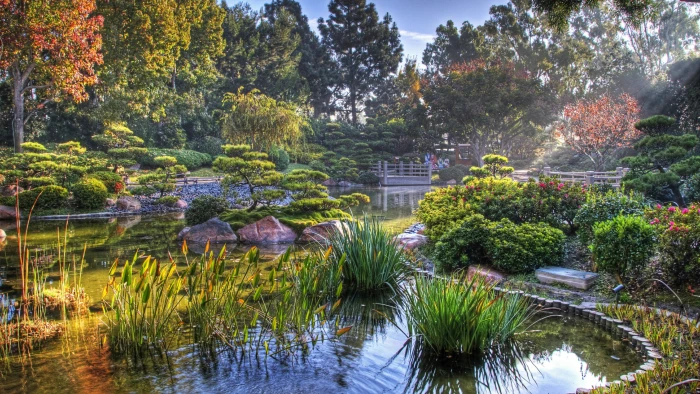pond us usa united states autumn california japanese garden 2k 4k