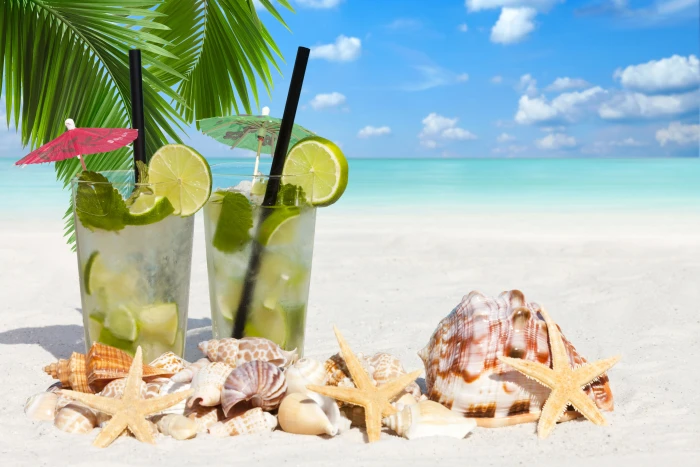 two drinking glasses sea beach Palma lime shell starfish 2k 4k 5k
