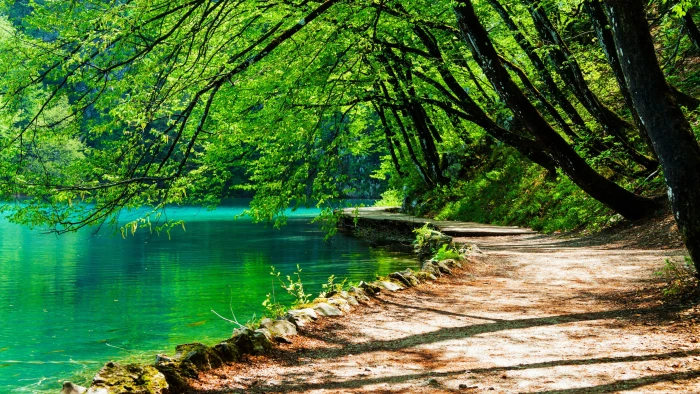 water nature emerald green path national park tree croatia 2k 4k
