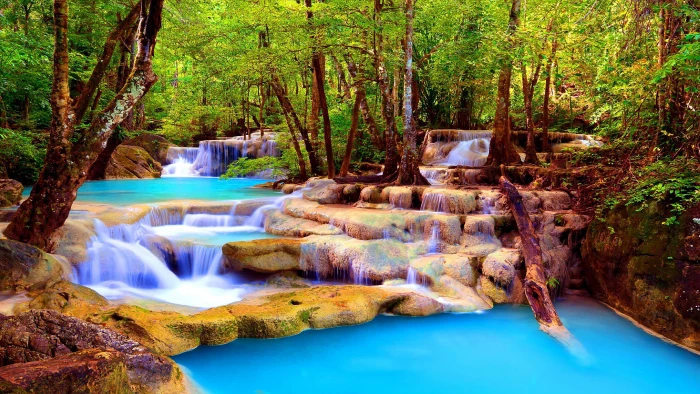 water nature waterfall tree stream creek plant asia 2k 4k