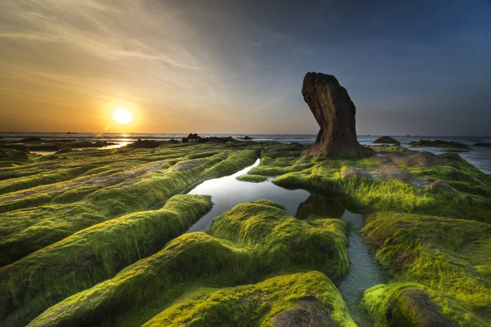aerial photography of green and brown rock formation near body water at golden hour 2k 4k 5k