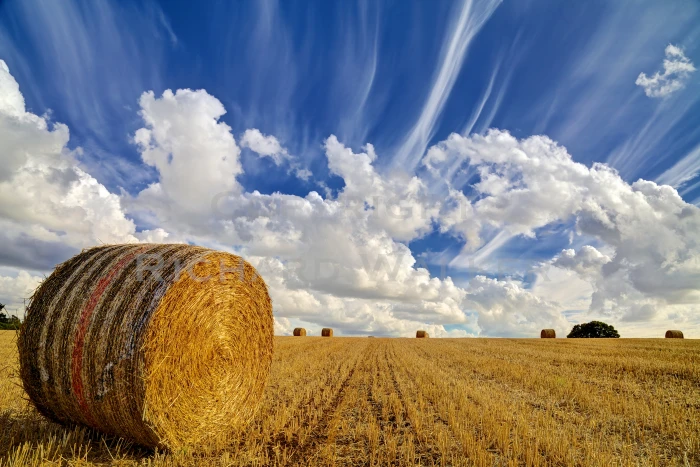 brown grass field during daytime Straw Bale agriculture blue sky 2k 4k 5k