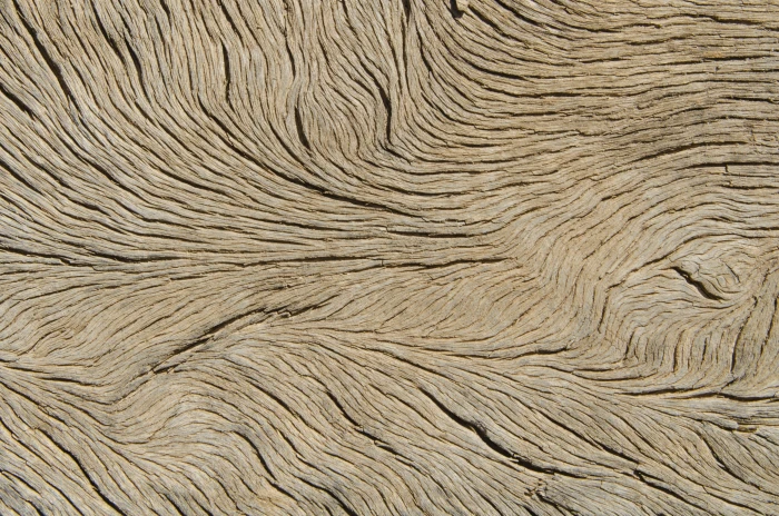 brown wood surface wallpaper veins texture backgrounds pattern 2k 4k