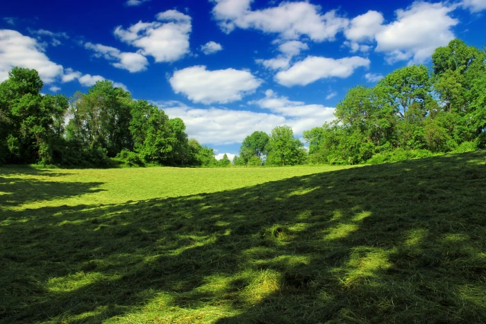 green grass landscape photography Texter Mountain Nature Preserve 2k 4k 5k