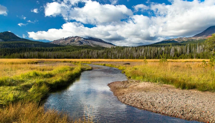 green yard under blue skies soda creek Cascades 2k 4k 5k