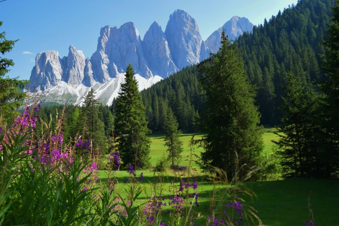 italy alto adige trentino south tyrol bolzano 2k 4k 5k