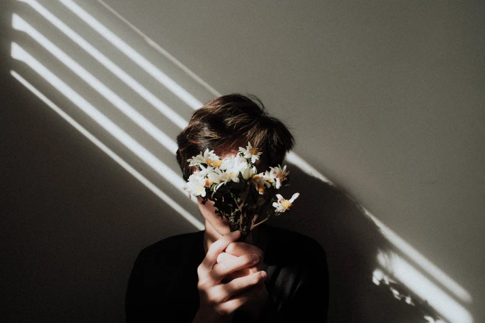 person holding white daisy flowers man 2k 4k 5k