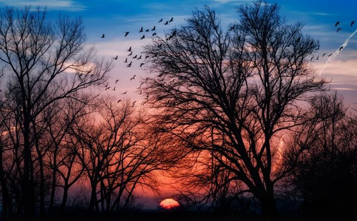 Beautiful Sunrise HD Wallpaper Nature Sun and Sky Scenery 2k 4k 5k