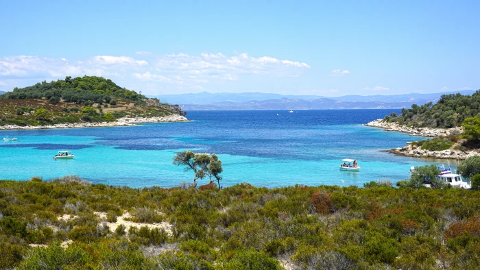 island with green trees next to sea water seashore beach travel 2k 4k 5k