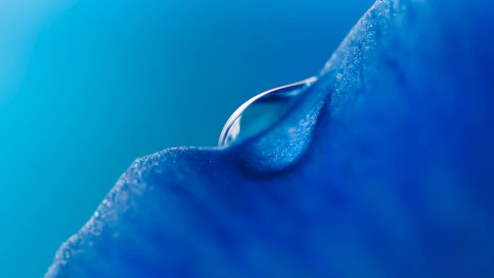 Blue Droplet Honor MagicBook Stock Macro 2k