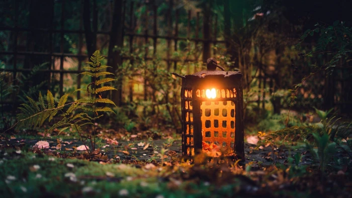 brown lantern lamp photo of surrounded by grass nature 2k