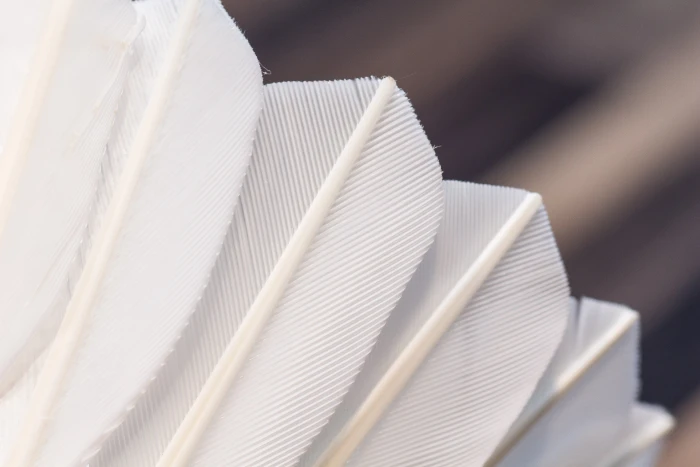closeup photo of white fur badminton shuttlecock feathers 2k 4k 5k