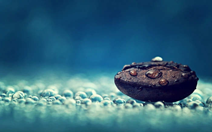 coffee bean digital wallpaper macro water drops beans