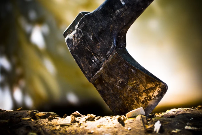 gray metal axe selective focus photography of wood macro 2k 4k
