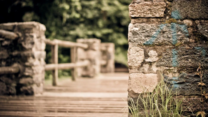 green leafed grass HDR macro bridge closeup blurred wall 2k