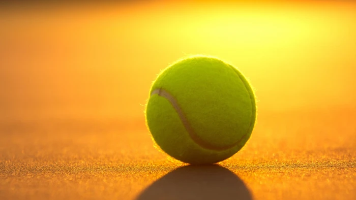 green tennis ball macro balls sport shadow yellow 2k