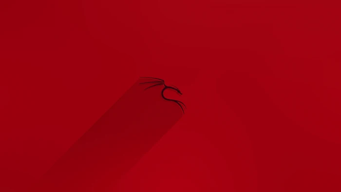 Kali Linux red emotion no people indoors love studio shot 2k