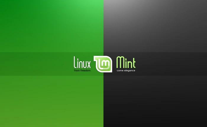 Linux Mint black and green logo Computers linux from dom 2k