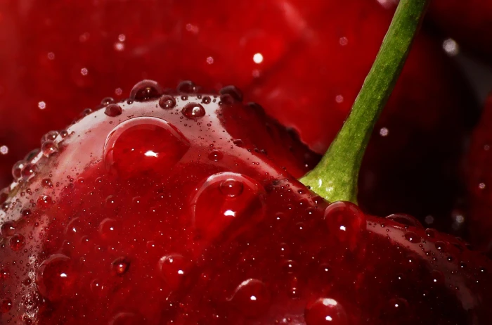 macro photography of water drops on red apple lumix dmc 2k