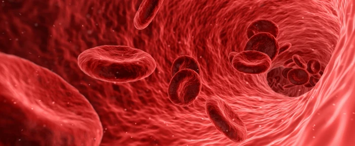 Red Blood Cells Microscope Artistic Care Human Flow Macro 2k