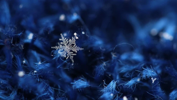 snowflake blue bluish ice crystal macro close up christmas 2k
