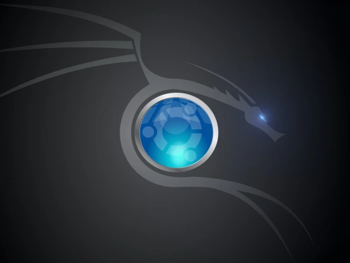 Ubuntu Dragon blue dragon wallpaper Computers Linux linux ubuntu 2k