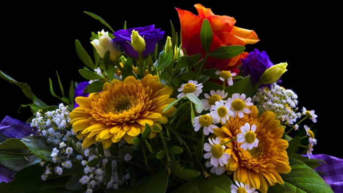 yellow Gerbera flowers and white asters with red purple Roses 2k 4k 5k