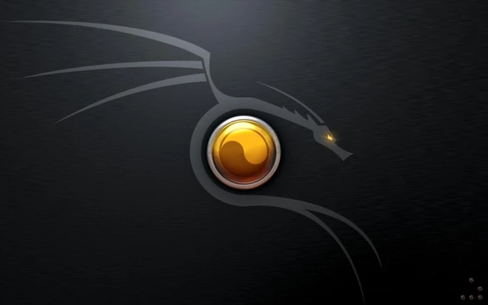 Yin Yang dragon logo minimalism Kali Linux gold refreshment 56