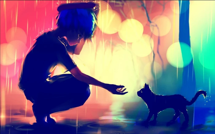 anime boy cat sadness profile view bokeh raining domestic 66 2k