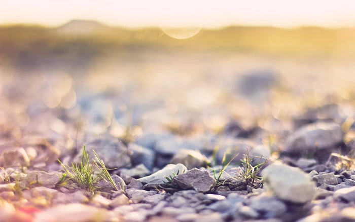black and white pebble stone lot shallow focus photography of gray fragments 2k