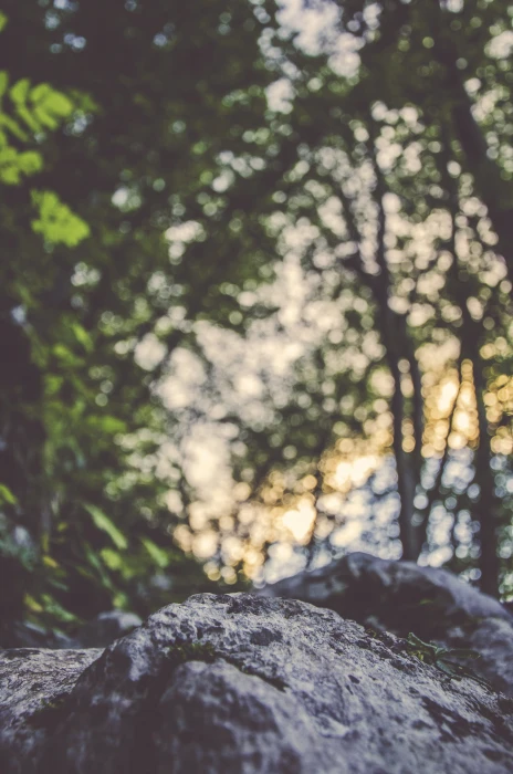 A large coarse rock under a canopy of trees against bokeh background photography 2k