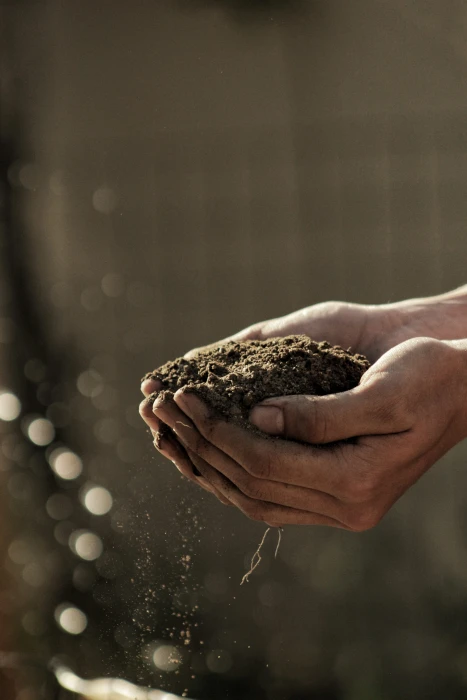 bokeh photography of person carrying soil with brown sand on hands 2k