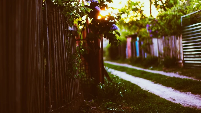 brown wooden fence garden sunlight depth of field 2k