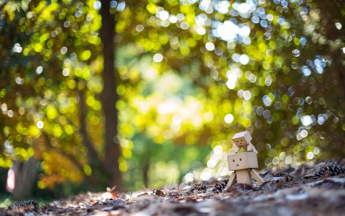 Danbo Bokeh HD nature 2k