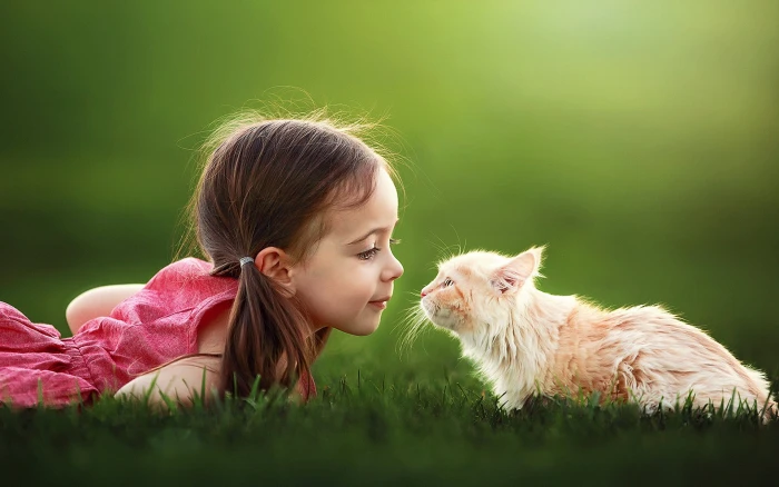 girl s red sleeveless dress children cat grass bokeh pets 2k