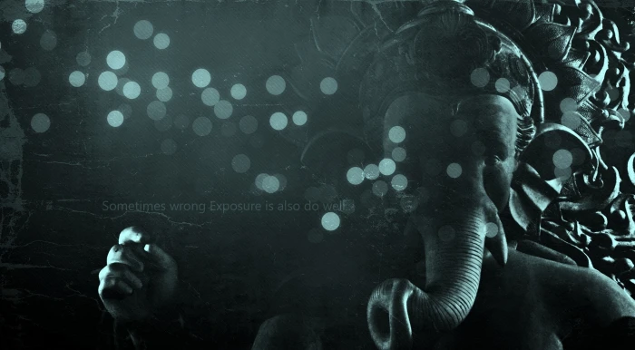 God Lord Ganesha costume Aero Creative bokeh indoors aquarium 35 2k