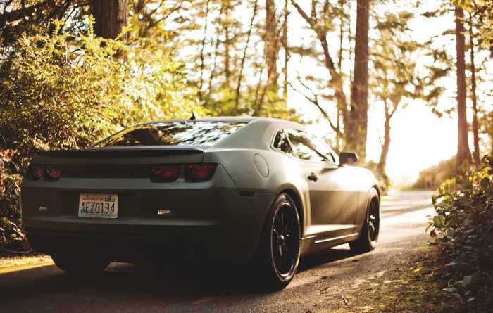 gray Chevrolet Camaro coupe bokeh matte black car outdoors 2k 4k 5k