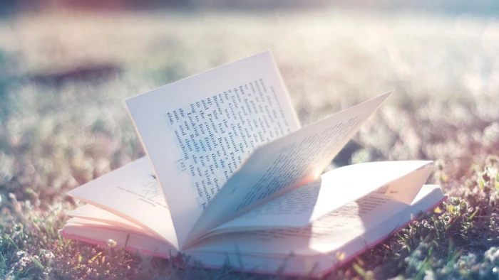 photography nature books depth of field sunlight bokeh 2k