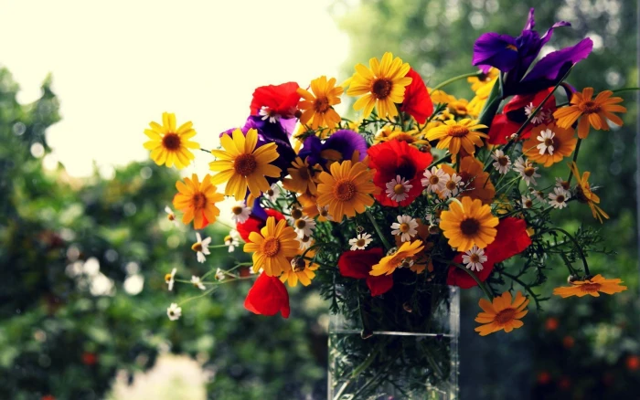 vase flowers flower yellow daisy bokeh box 2k